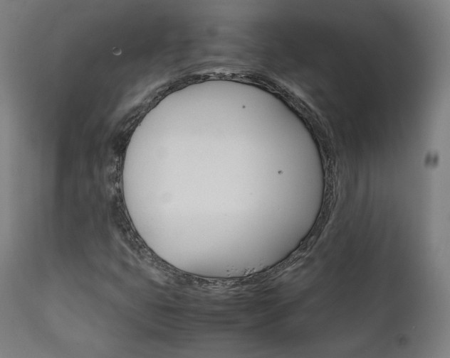 X0000112091399200908041037