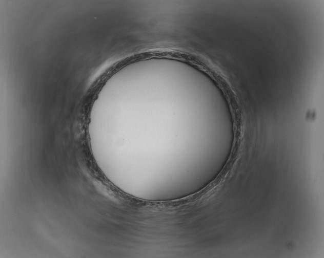 X0000112091400200908041037