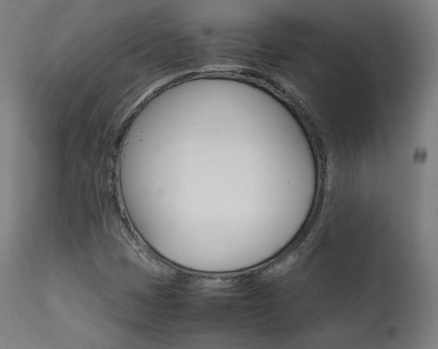 X0000112091401200908041037