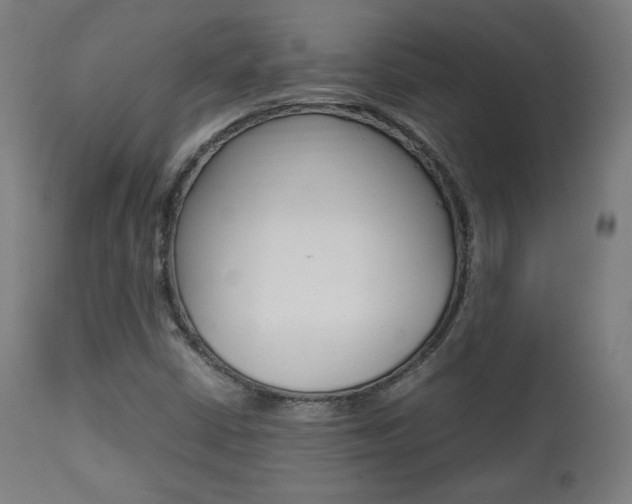 X0000112091402200908041037