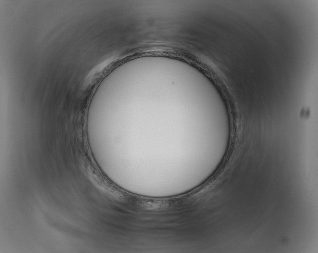 X0000112091403200908041037