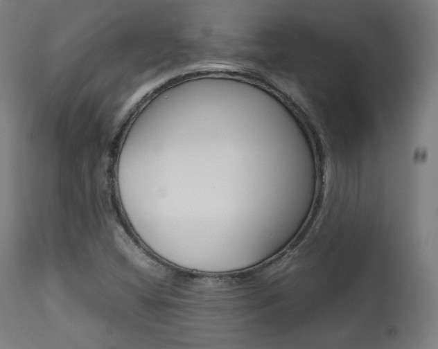 X0000112091404200908041037