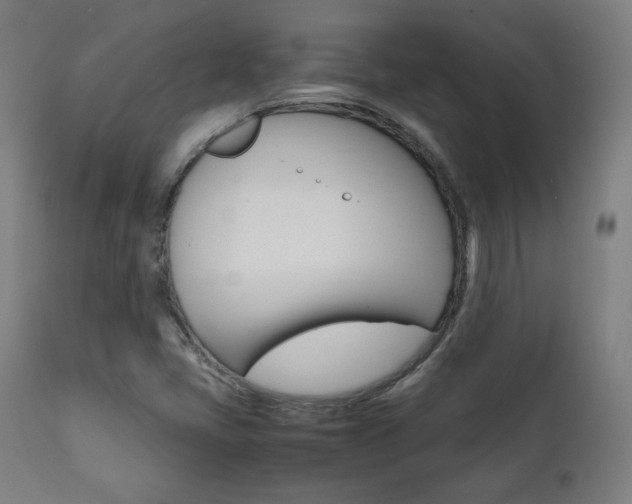 X0000112091405200908041037