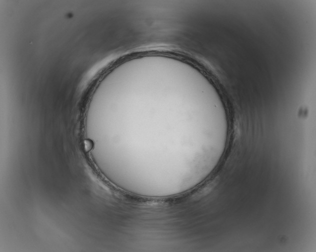 X0000112091406200908041037