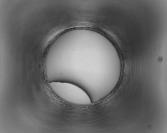 X0000112091407200908041037