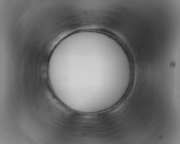 X0000112091409200908041037