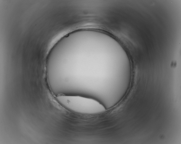 X0000112091413200908041037