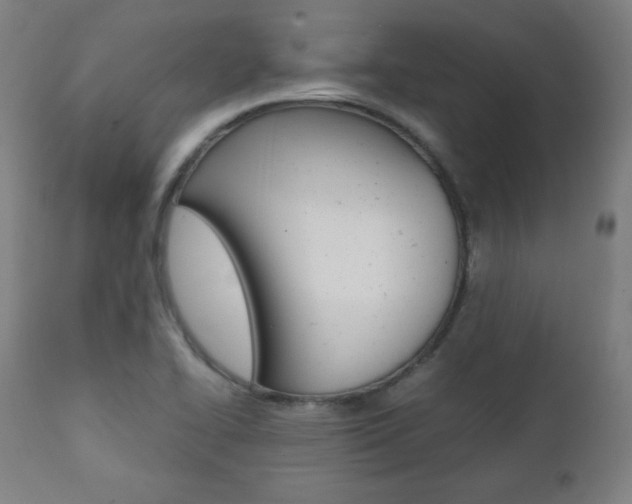 X0000112091414200908041037