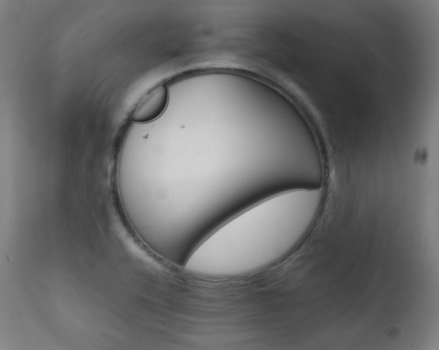 X0000112091416200908041037