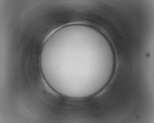 X0000112091417200908041037