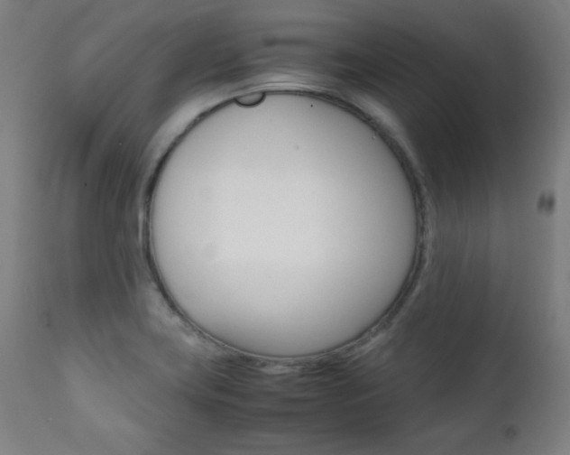 X0000112091419200908041037