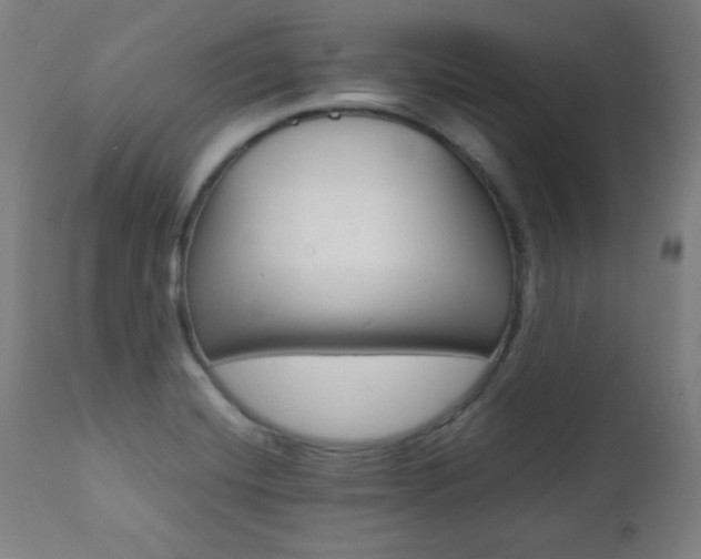 X0000112091420200908041037