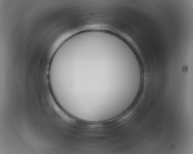 X0000112091421200908041037