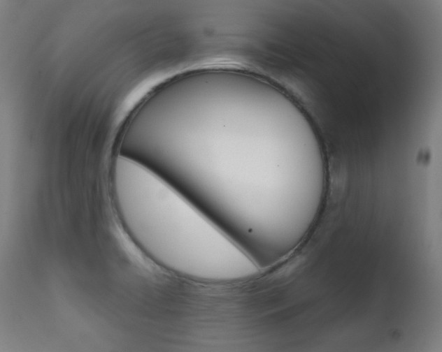 X0000112091422200908041037