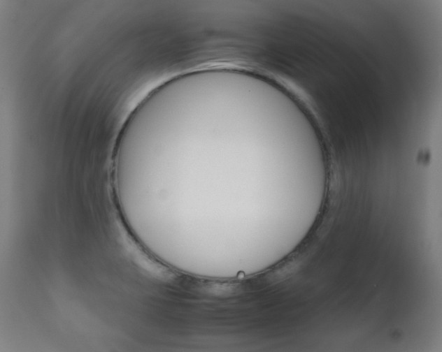 X0000112091423200908041037