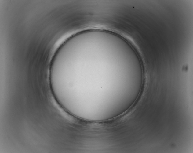 X0000112091424200908041037
