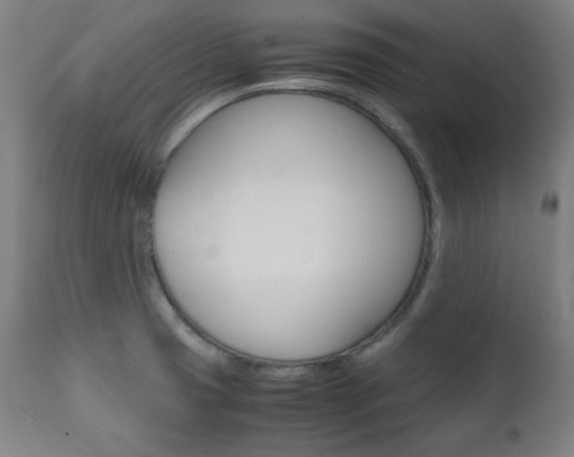 X0000112091425200908041037