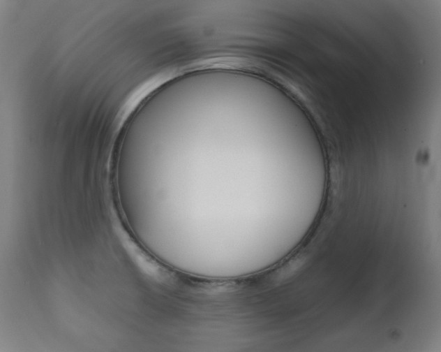 X0000112091426200908041037