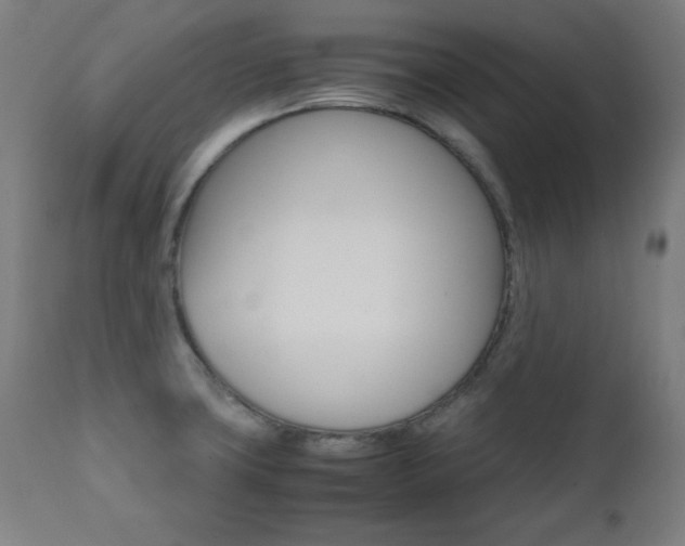 X0000112091427200908041037