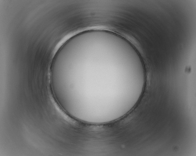X0000112091428200908041037