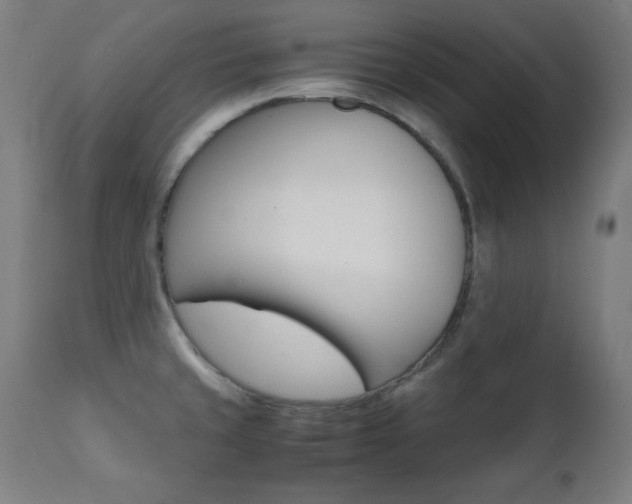 X0000112091429200908041037
