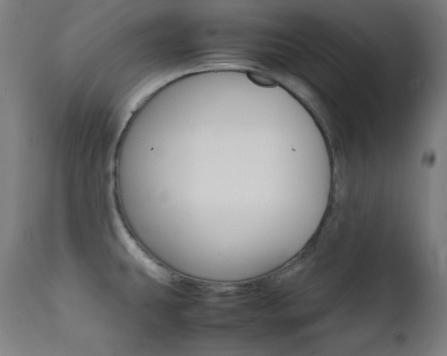 X0000112091431200908041037