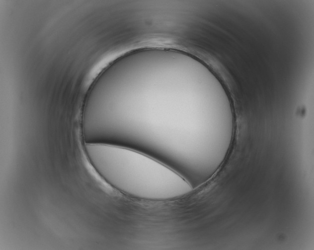 X0000112091432200908041037