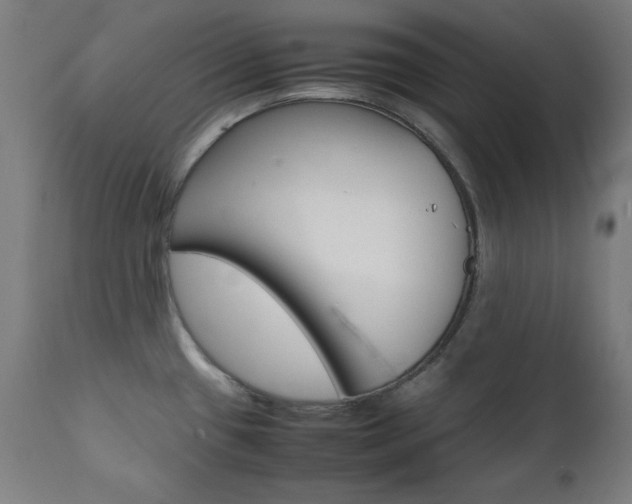 X0000112091433200908041037