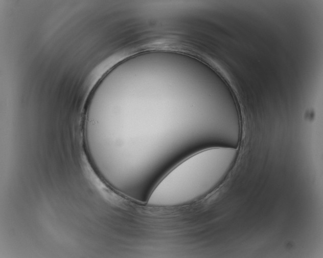 X0000112091434200908041037