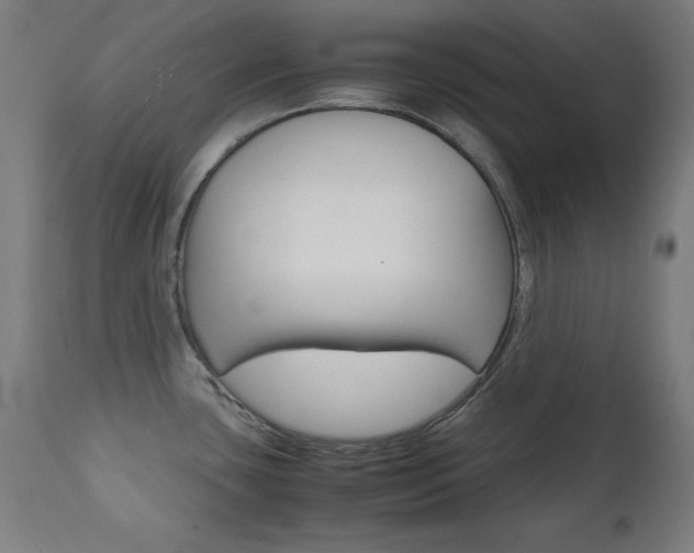 X0000112091435200908041038