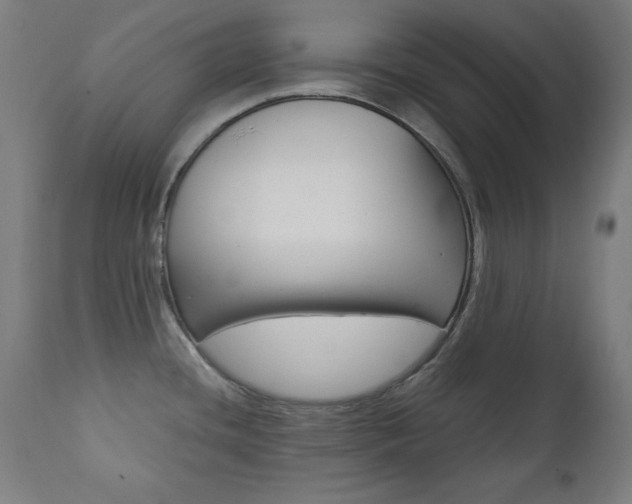 X0000112091436200908041038