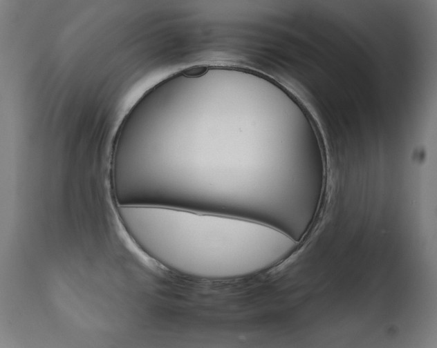 X0000112091437200908041038