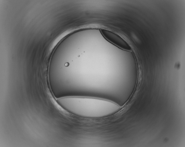 X0000112091438200908041038