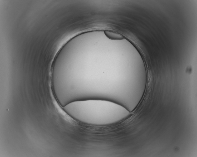 X0000112091439200908041038
