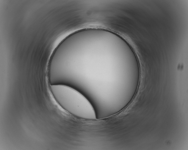 X0000112091440200908041038