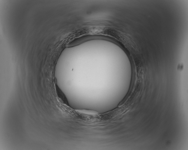 X0000112091441200908041037