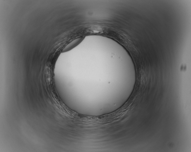 X0000112091442200908041037