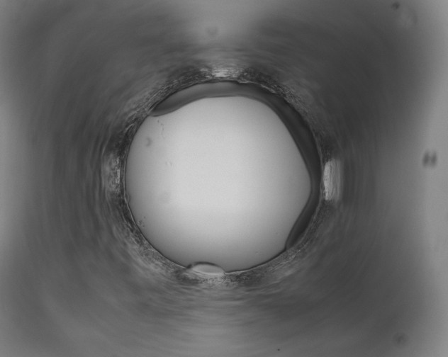 X0000112091443200908041037