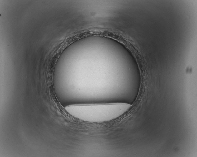 X0000112091445200908041037