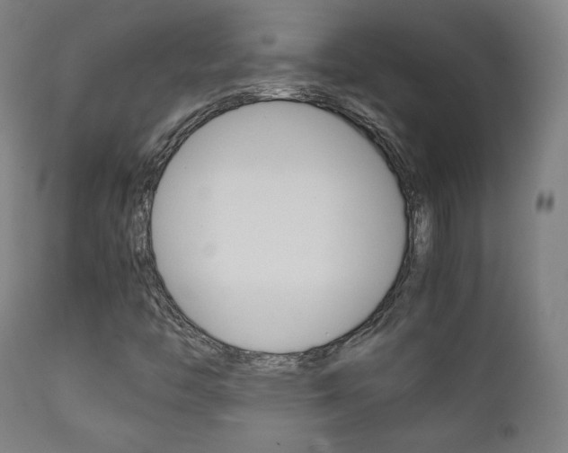 X0000112091446200908041037