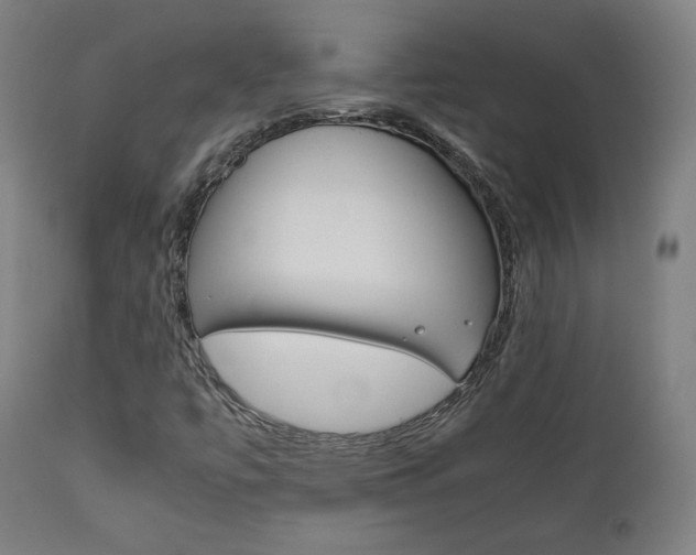 X0000112091447200908041037