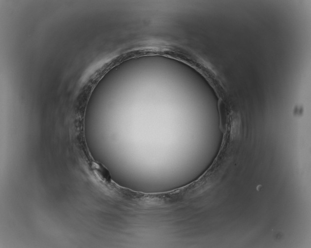 X0000112091448200908041037