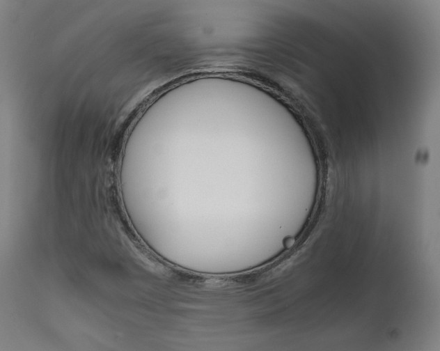 X0000112091449200908041037