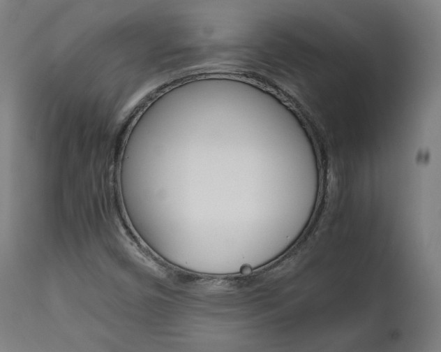X0000112091450200908041037