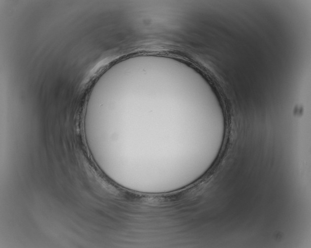 X0000112091451200908041037