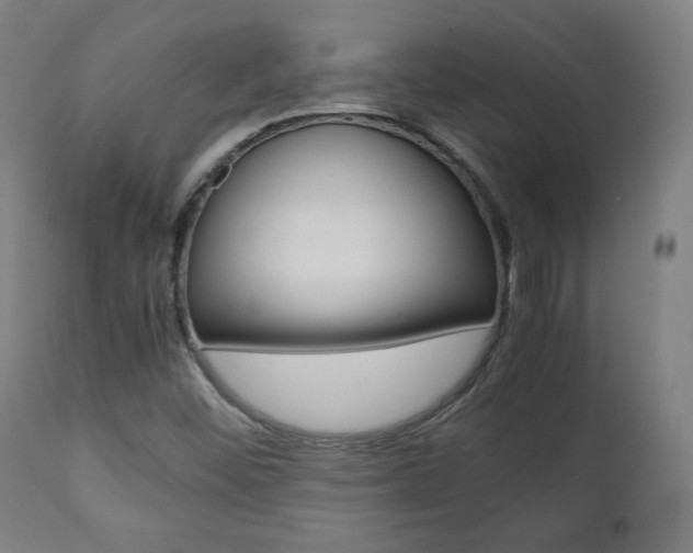 X0000112091452200908041037