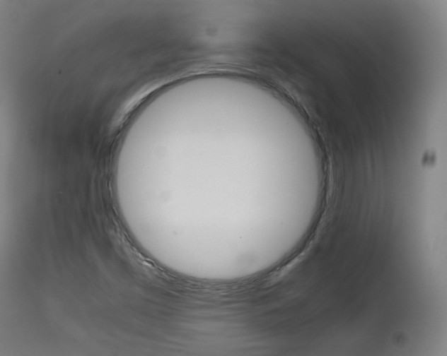 X0000112091453200908041037