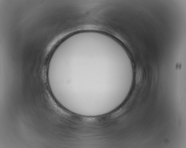 X0000112091454200908041037