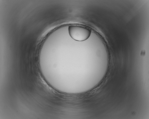 X0000112091456200908041037