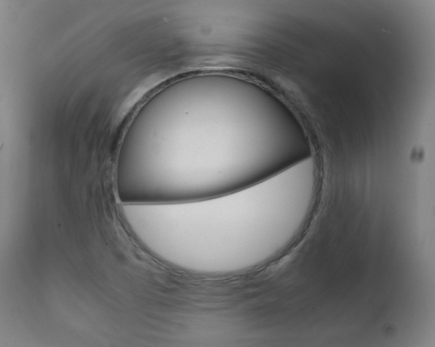 X0000112091457200908041037